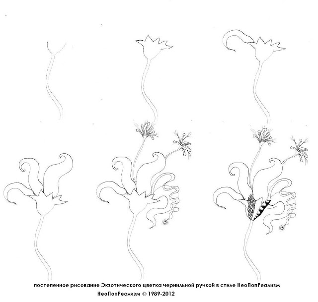 Рисование Экзотического цветка  и бабочки чернильной ручкой в стиле НеоПопРеализм, 6, 7 класс